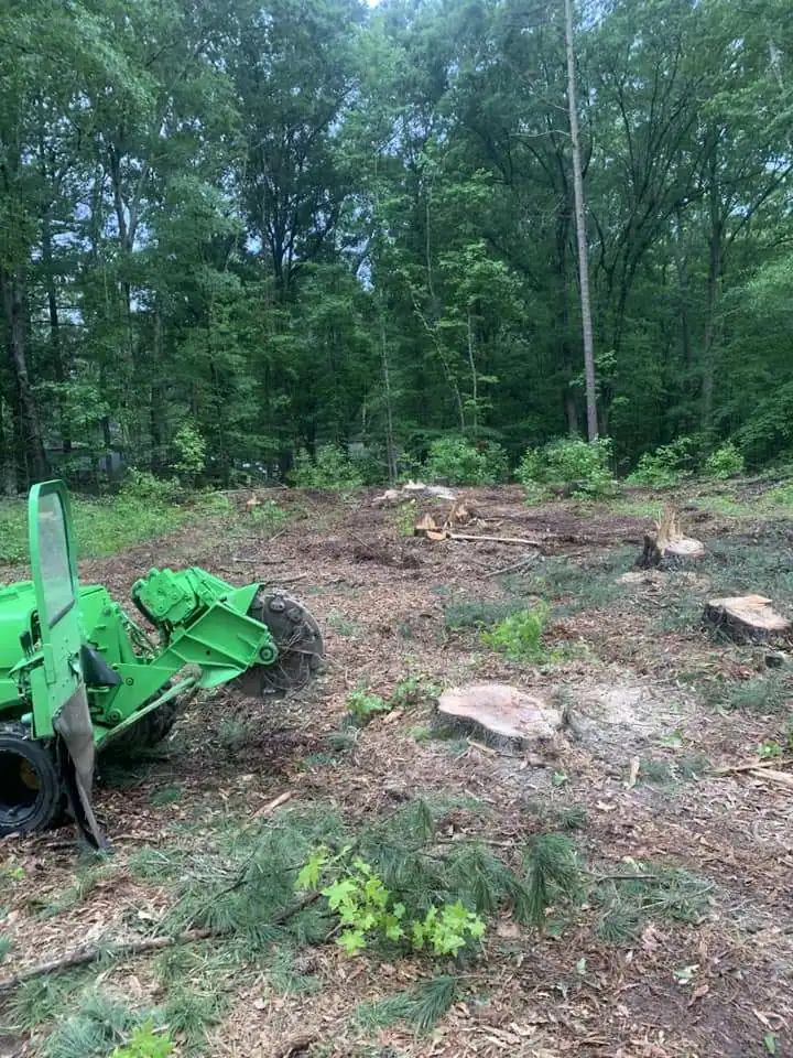 Stump removal during land clearing in Portsmouth VA